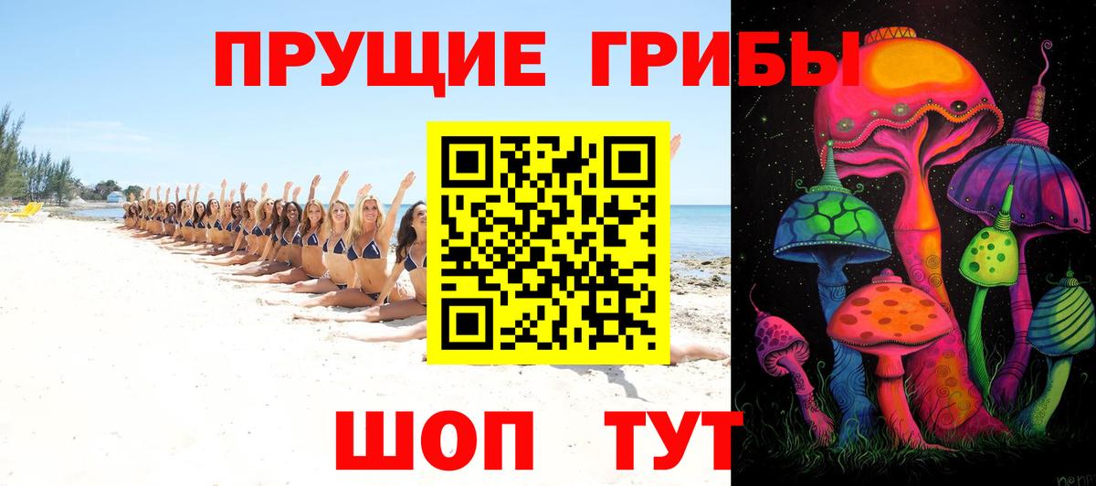 Галлюциногенные грибы MAGIC MUSHROOMS  Вход с VPN  Кириши  Псилоцибиновые грибы Magic Shrooms 